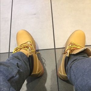 Fake Tim’s
